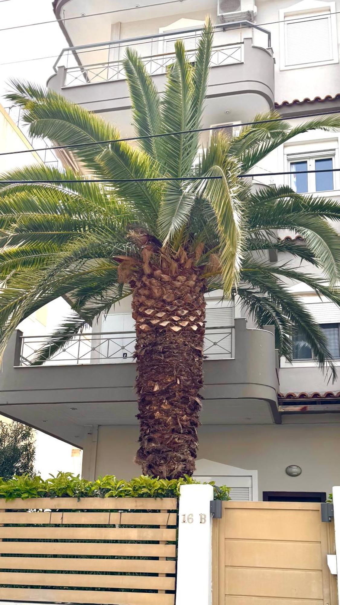 Elegant Glyfada Apartment-Private Garden-Near Metro Ateny Zewnętrze zdjęcie